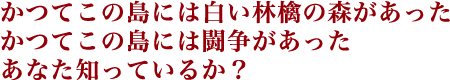 かつてこの島には白い林檎の森があった かつてこの島には闘争があった あなた知っているか？